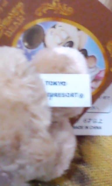 MdTDS2005wSSRrAZ[[_btB[(fBYj[xA)Xgbvx   