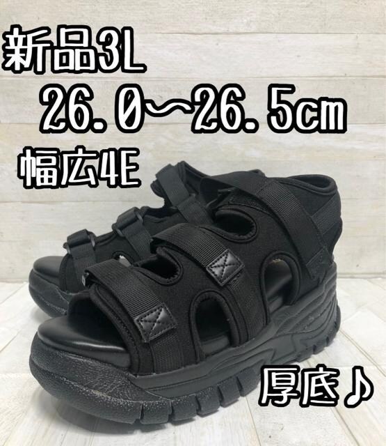 Vi3L26.0cm26.5cm4ET_X|[cT_D780   t@bV 