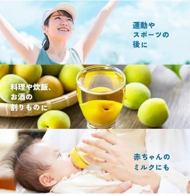 xmR̓VR 500ml 24{Zbg  O/hN 
