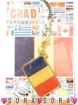 gт΂ɁyCHAD/ށzׯ