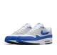 NIKE AIR MAX 1 ANNIVERSARY Royal 2017 28.5cm iCL GA }bNX Ajo[T[