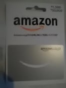 AmazonJ[h1500~Vi