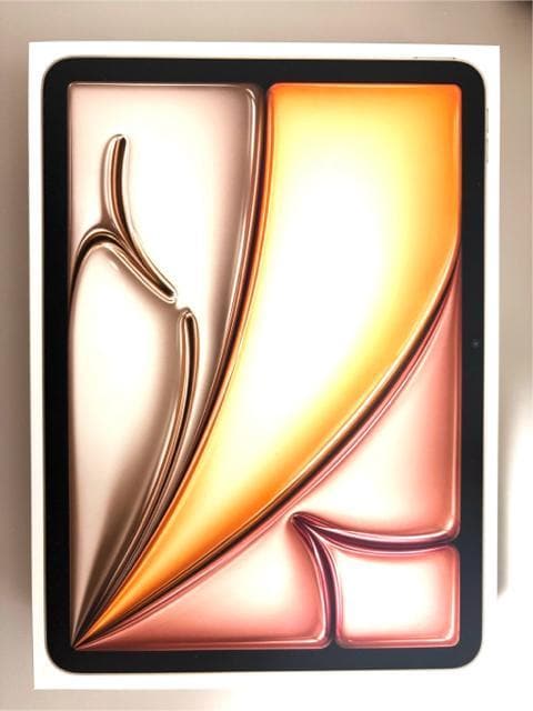 yViJziPad Air M3 11C` 128GB Wi-Fif X^[Cg  PC{/Ӌ@ 