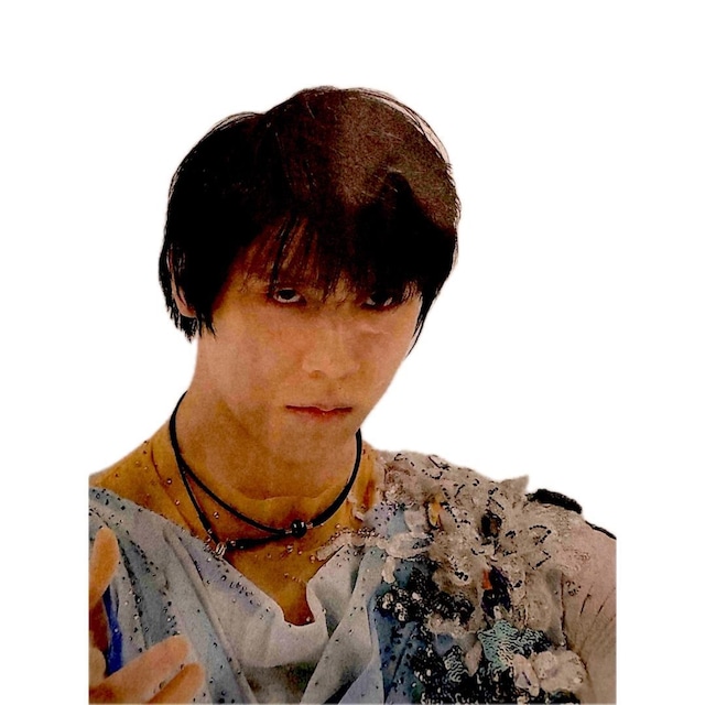 2025N76 fC[X|[cV H VЖ  ʐ^ !B  zr[ 