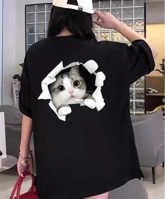 яoII˂LTVcI   t@bV 
