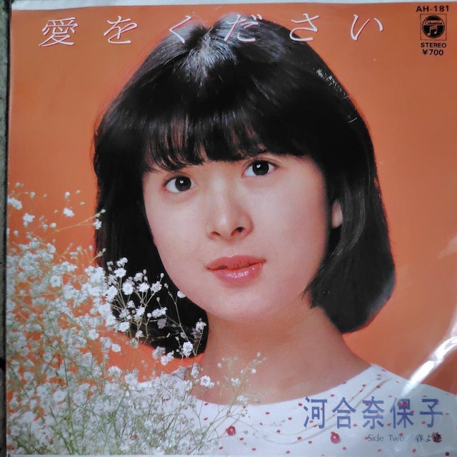 ͍ޕێq@VOR[h@   CD/DVD/rfI 