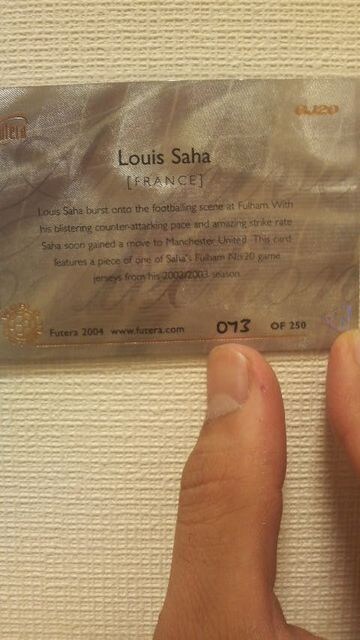 2004 SAHA W[WJ[h