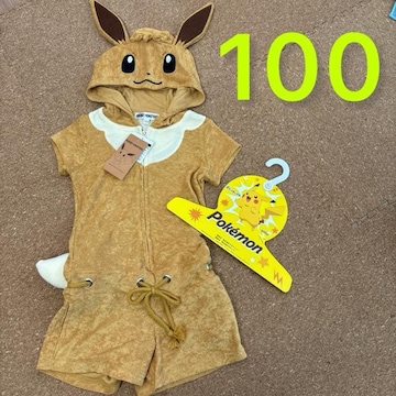Vigp^Ot100TCY@|P@Ȃ肫C[uC@Ȃ@݁@RXv