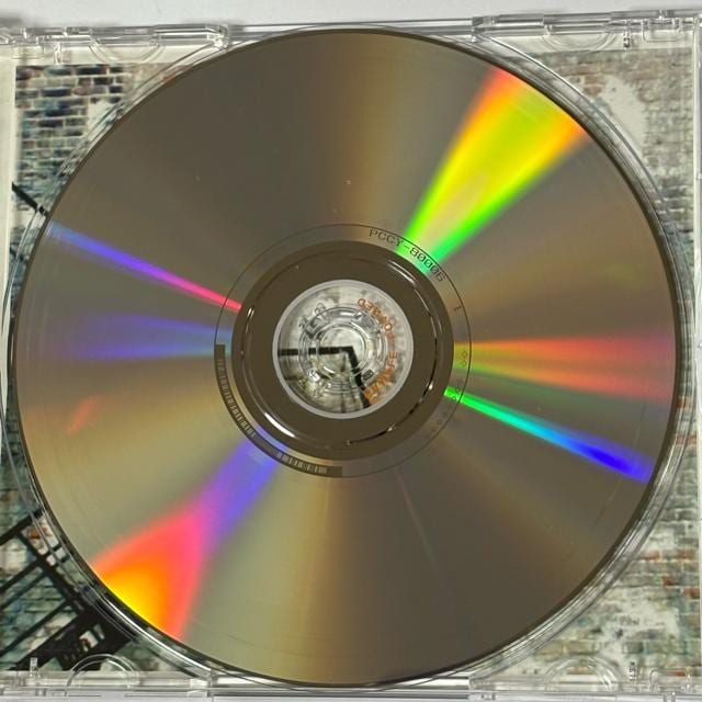 PILATE / Caught By the Window  CD/DVD/rfI 