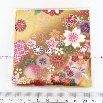 16*YȃnM@20cm~20pȏ@6