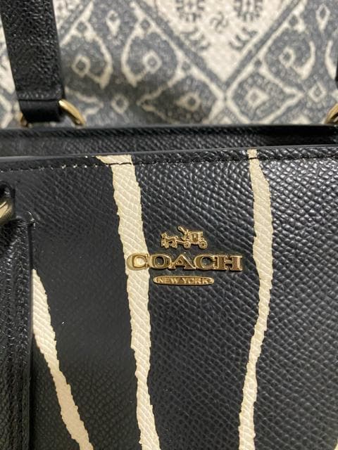 yizCOACH R[` U[ [u nhobO g[gobO ubN  uh 
