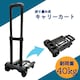 3i RpNg  tbN ω׏d40kg 芴Q ܂