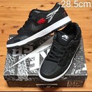 WASTED YOUTH NIKE SB DUNK LOW 28.5cm