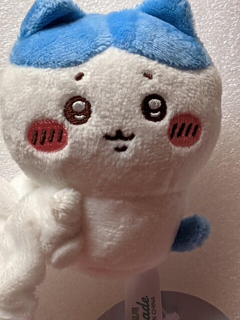   ʂ݃VV(n`)  Aj/R~bN/LN^[ 