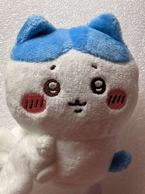   ʂ݃VV(n`)  Aj/R~bN/LN^[ 