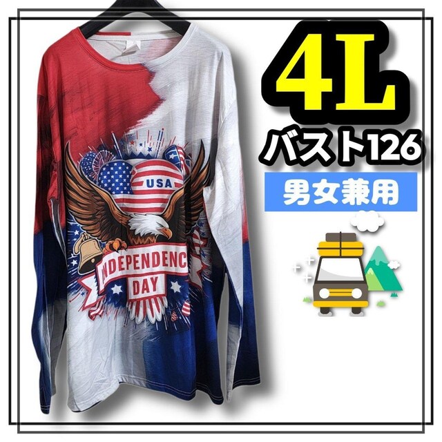 傫TCY Y fB[X  TVc C[O AJW 3L 4L JWA ۂ    jt@bV 