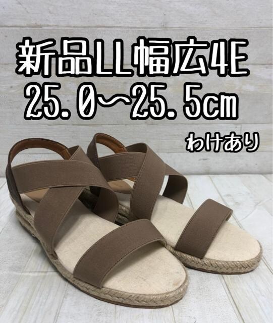 ViLL25cm25.5cmL4E炭EFbWT_D710   t@bV 