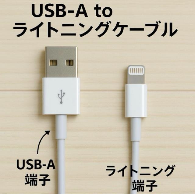 Apple i lightningP[u 10{ 1m Vigp  Ɠd/AV 