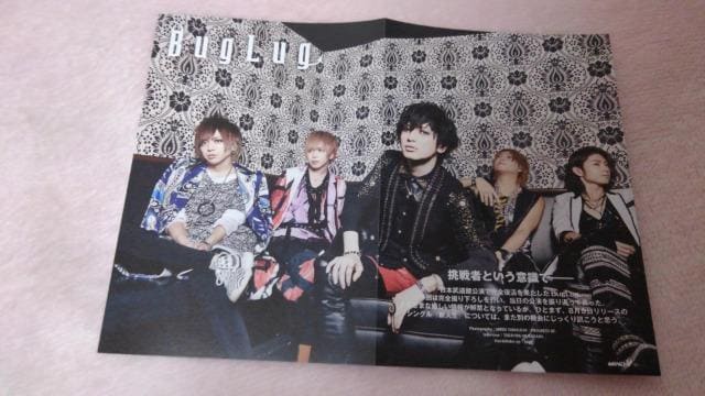 zBugLug̐؂蔲AR(LM)/   ^gObY 