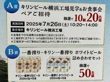 ^CAbvIm3{ILԍ/zCgr[lߍ킹5