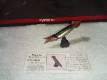 t^  {̓4  XCJ