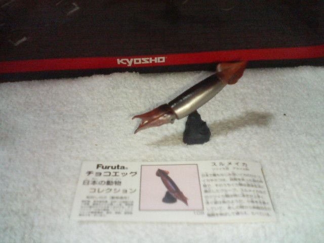 t^  {̓4  XCJ   zr[ 