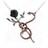 ALCHEMY GOTHIC: A ROSE FOR EVE イブのためのバラ
