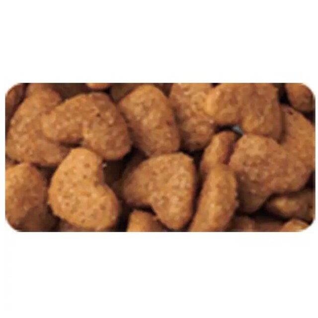 Lbg LAȞNێ 1΂ `L hCt[h 1.4kg  ybg/|/| 