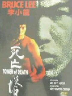 ★廃盤★死亡の塔(死亡塔)/李小龍 怪作『死亡の塔』に君もいずれ魅了されるだろう - ドラゴンなお