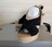 Gabor/K{[NXXgbvEFbWT_/XG[hf/ubN//TCY4 1/2/{TCY24cm