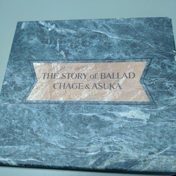 CHAGEASKA@U@Xg[[Iuo[h