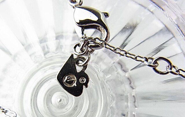 500~X^Ki@SWAROVSKI XtXL[@lbNX