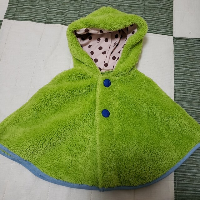 xr[ |` Umbilical Cord ӂӂ   LbY/xr[ 