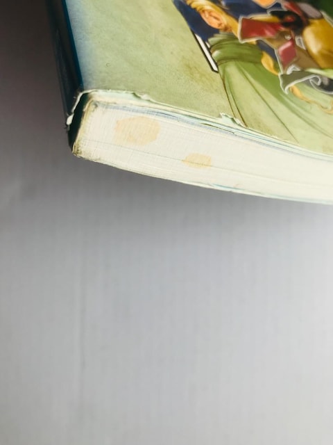 z` 108LN^[KCh Ri~p[tFNgV[Y Genso Suikoden Guide Art Book  Q[{/\tg 