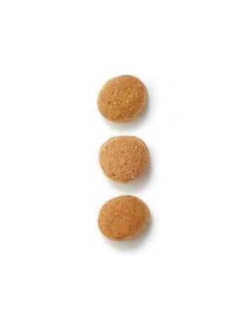 ViROYAL CANIN CJi p T|[g @ [p hCt[h 1kg Ö@H]  1007  ybg/|/| 