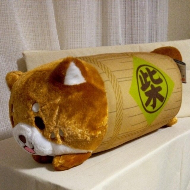 ΂ЂĂ璴BIGʂ݁@ 