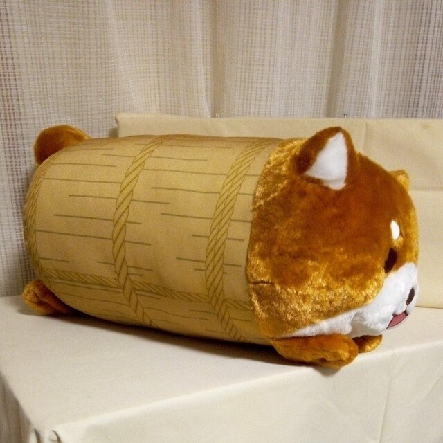 ΂ЂĂ璴BIGʂ݁@
