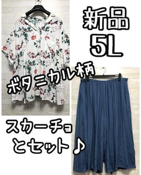 Vi5L{^jJ̑fGVcӂXJ[`G891
