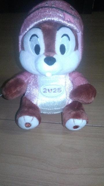 ][g2025x`bvʂ݃obW 