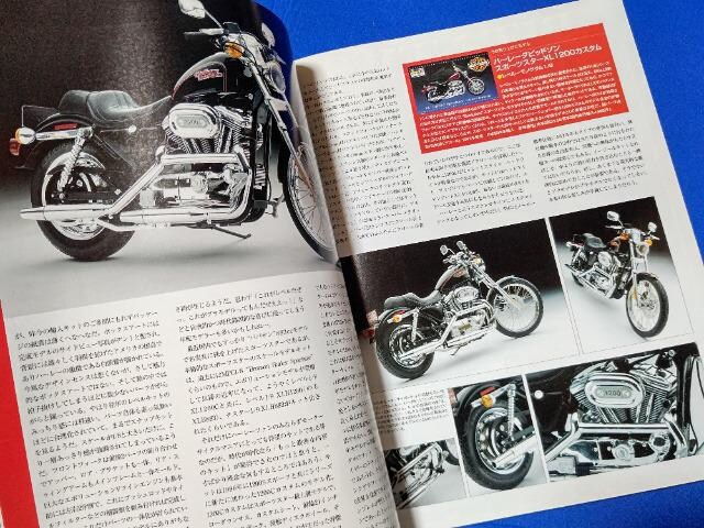 Ö{ '06/6 fJ[ #121 tF[ A pgJ[ n[[_rbh\W  zr[ 