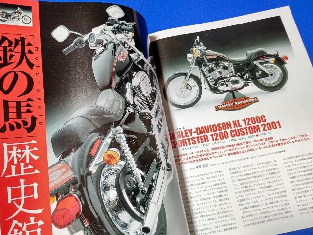 Ö{ '06/6 fJ[ #121 tF[ A pgJ[ n[[_rbh\W  zr[ 