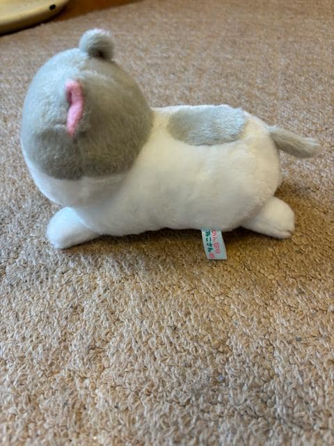 ̂т˂^ʂ   