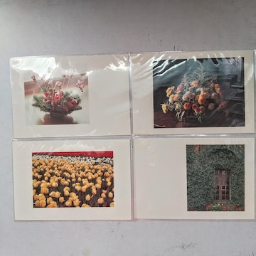 |XgJ[h@postcard@Gt@G͂@PO@COʐ^