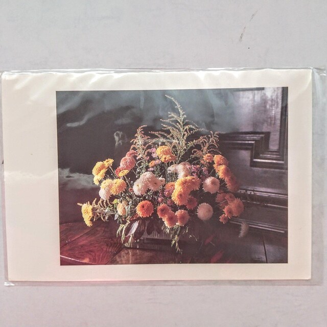 |XgJ[h@postcard@Gt@G͂@PO@COʐ^  CeA/Ct 