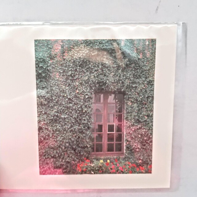 |XgJ[h@postcard@Gt@G͂@PO@COʐ^  CeA/Ct 