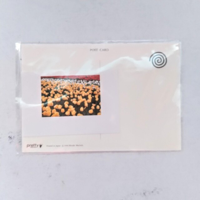 |XgJ[h@postcard@Gt@G͂@PO@COʐ^  CeA/Ct 