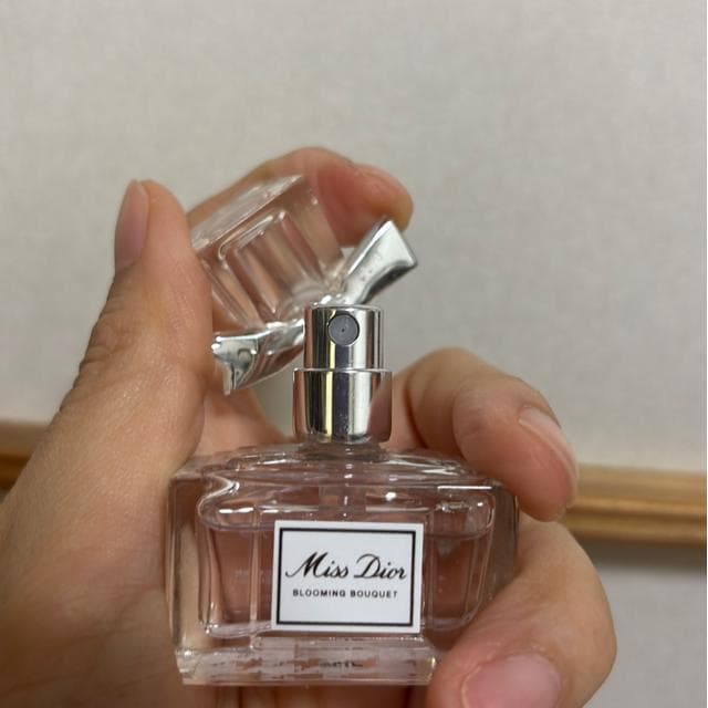 Miss Dior mini  uh 