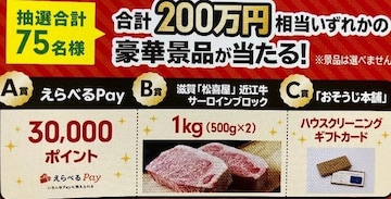 ׂpay3|Cg/ߍ]T[C1kg/Ȃ1