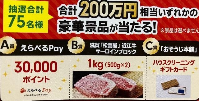 ׂpay3|Cg/ߍ]T[C1kg/Ȃ1   `Pbg/ 