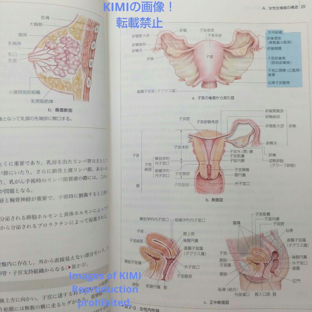 成人看護学　専門分野II 専門分野 | 系統看護学講座 | シリーズ商品 | 医学書院